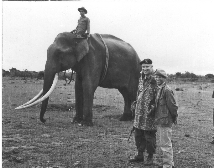 1967elephant.jpg